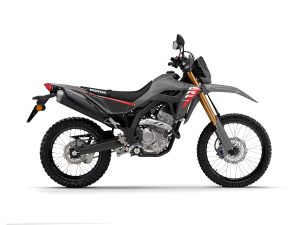 25YM_CRF300L_SWIFT_GREY_NH-187_RHS